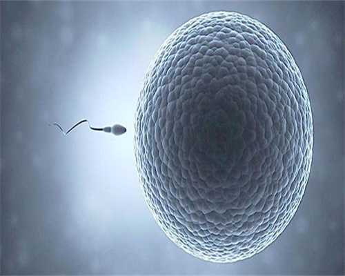 代怀费用多少钱&哪里可以找代怀,子宫太薄可以做试管婴儿吗_子宫薄能做试管吗
