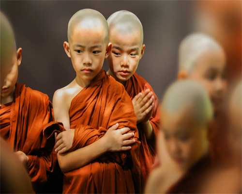 代生人群&代怀生子公司,子宫形态不好能做三代试管吗
