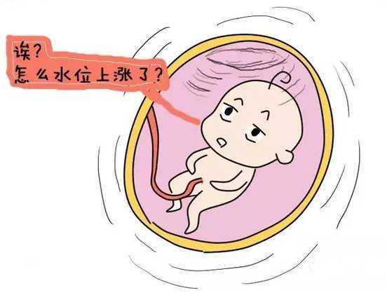 27岁左侧10个卵泡右侧7个卵泡怎么回事？,供卵代怀费用明细